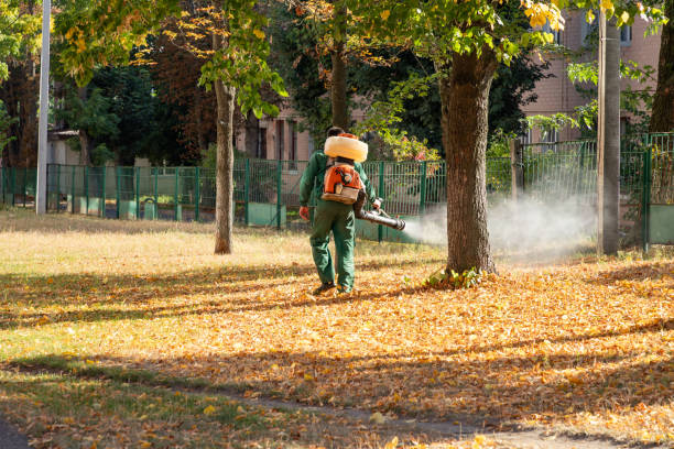 Spider Control Near Me in East Highland Park, VA